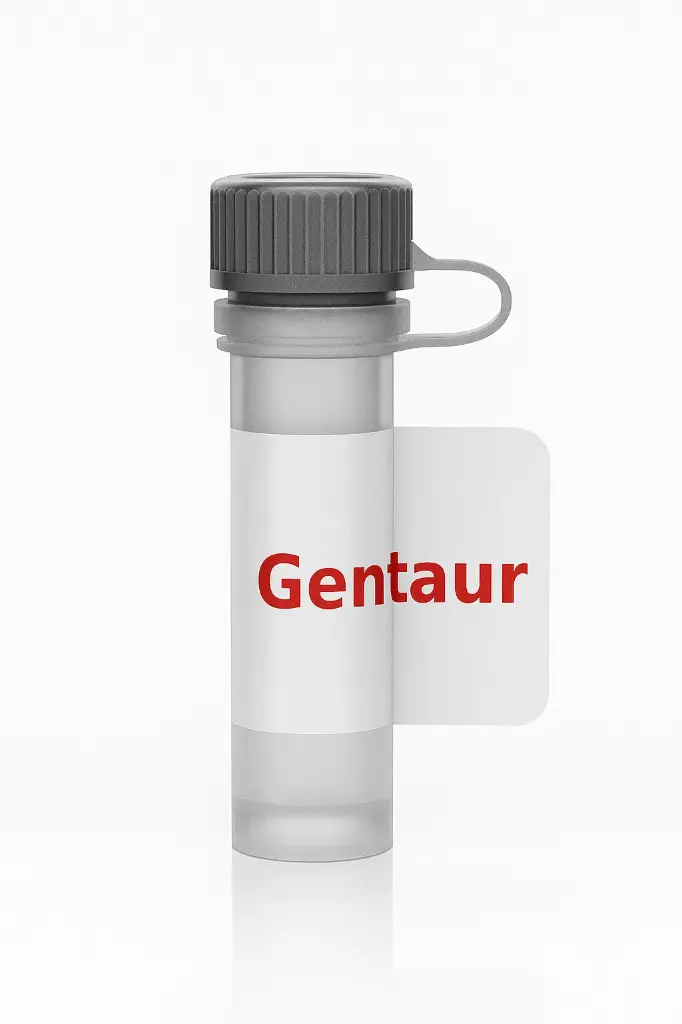 4-Thio-dTTP - 10 µL