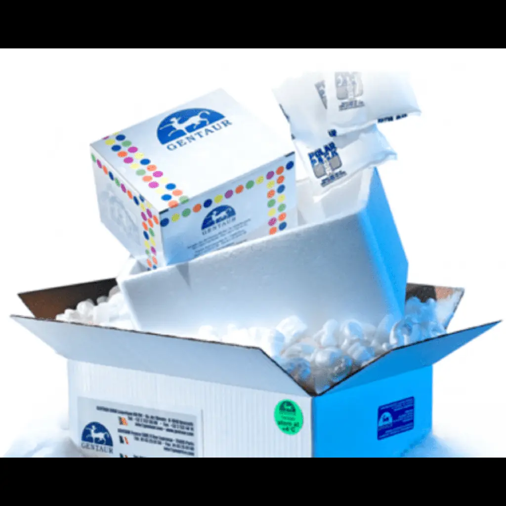 ELISA Kit for Leptin - Human - 96 Tests