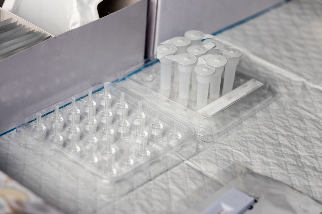 pMEV Mammalian Expression Vector