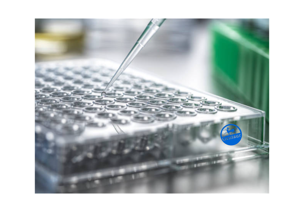 ELISA   ABI3 Antibody, HRP  