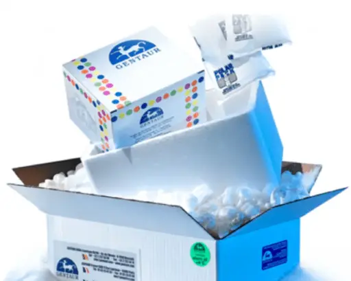 HEV IgG/IgM Rapid Test Cassette - 40 Tests