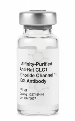 Affinity-Purified Anti-Rat CLC1 (Chloride Channel 1) IgG Antibody