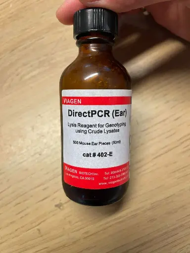 DirectPCR Lysis Reagent (Ear) - 50 mL