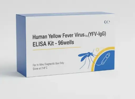 Human Yellow Fever Virus IgG (YFV-IgG ) ELISA Kit - 96wells