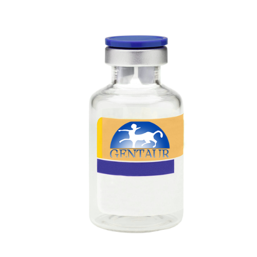 [GEN - PL02-025] Recombinant Human Galectin 3, His Tag