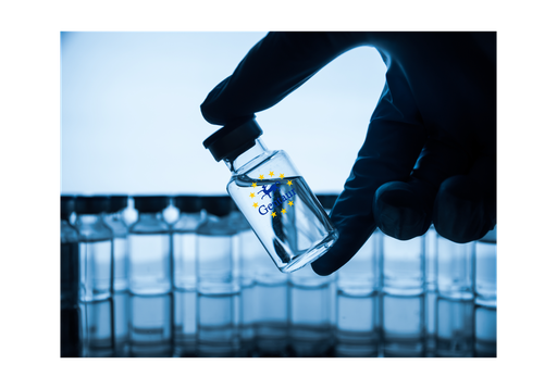 [GEN-PYT500-10ug] IL 10 Human