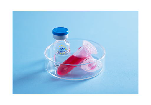 [GEN-PYT317-1mg] AITRL Human, His