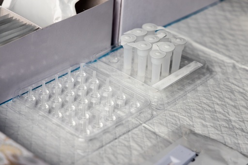 [GEN-BXP6050-wt] pKG-cJun (1-79)