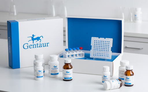 [BCMA-0312-100T] CAR-T cell detection -PE Human protein BCMA